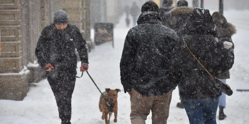 personas caminando bajo la nieve