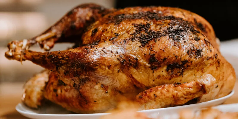 pollo