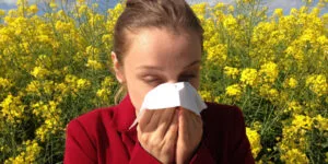 ¿Cuál es el mejor antihistamínico para la rinitis alérgica?
